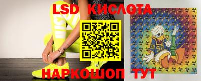 apvp Кунгур