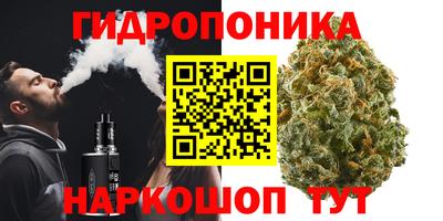 гидропоника Кулебаки