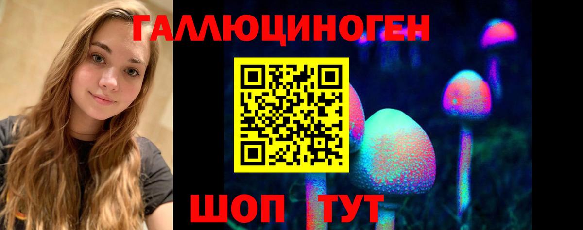 Псилоцибиновые грибы Psilocybine cubensis Шебекино